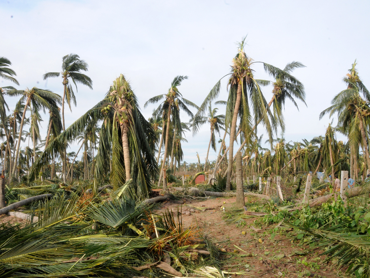 Cyclone Titli Hit Srikakulam Photo Gallery - Sakshi4