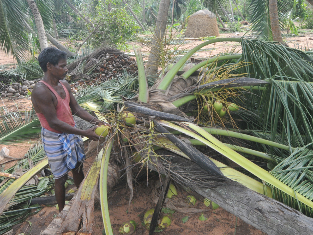 Cyclone Titli Hit Srikakulam Photo Gallery - Sakshi7