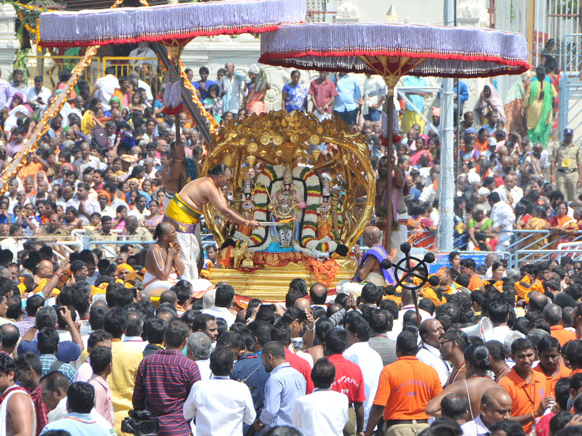 Kalpavriksha Vahanam in Tirumala Photo Gallery - Sakshi1