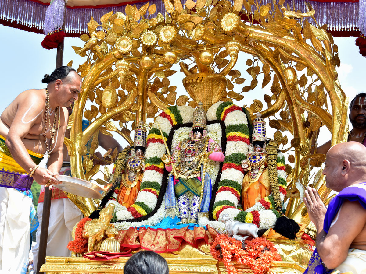 Kalpavriksha Vahanam in Tirumala Photo Gallery - Sakshi10