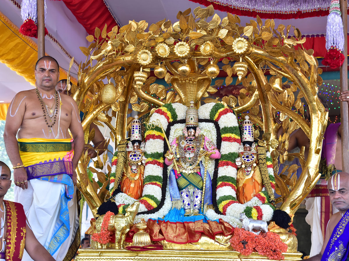 Kalpavriksha Vahanam in Tirumala Photo Gallery - Sakshi2