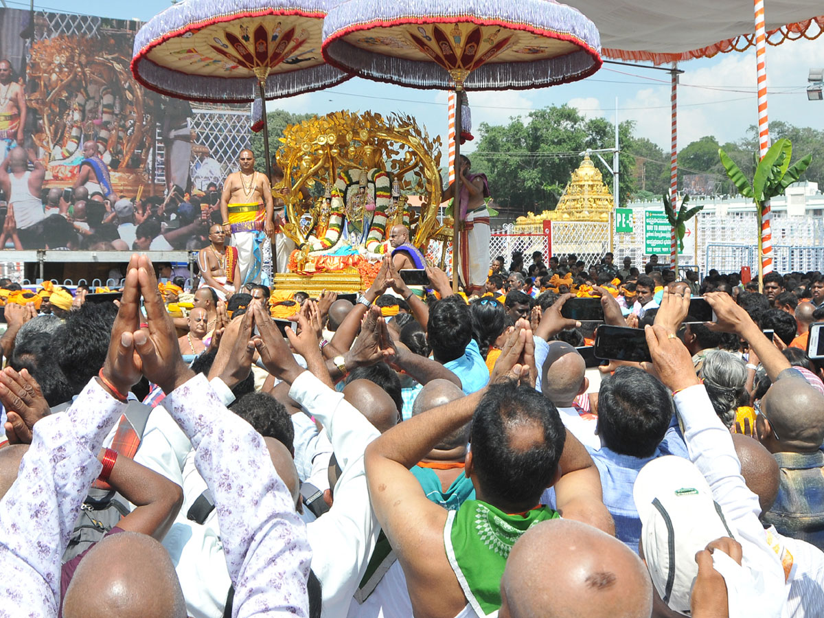 Kalpavriksha Vahanam in Tirumala Photo Gallery - Sakshi20