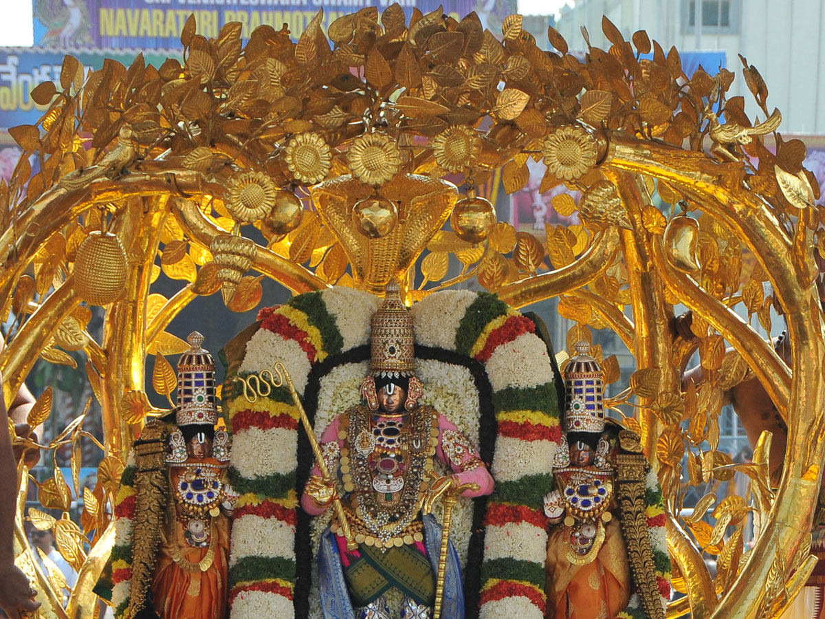 Kalpavriksha Vahanam in Tirumala Photo Gallery - Sakshi30