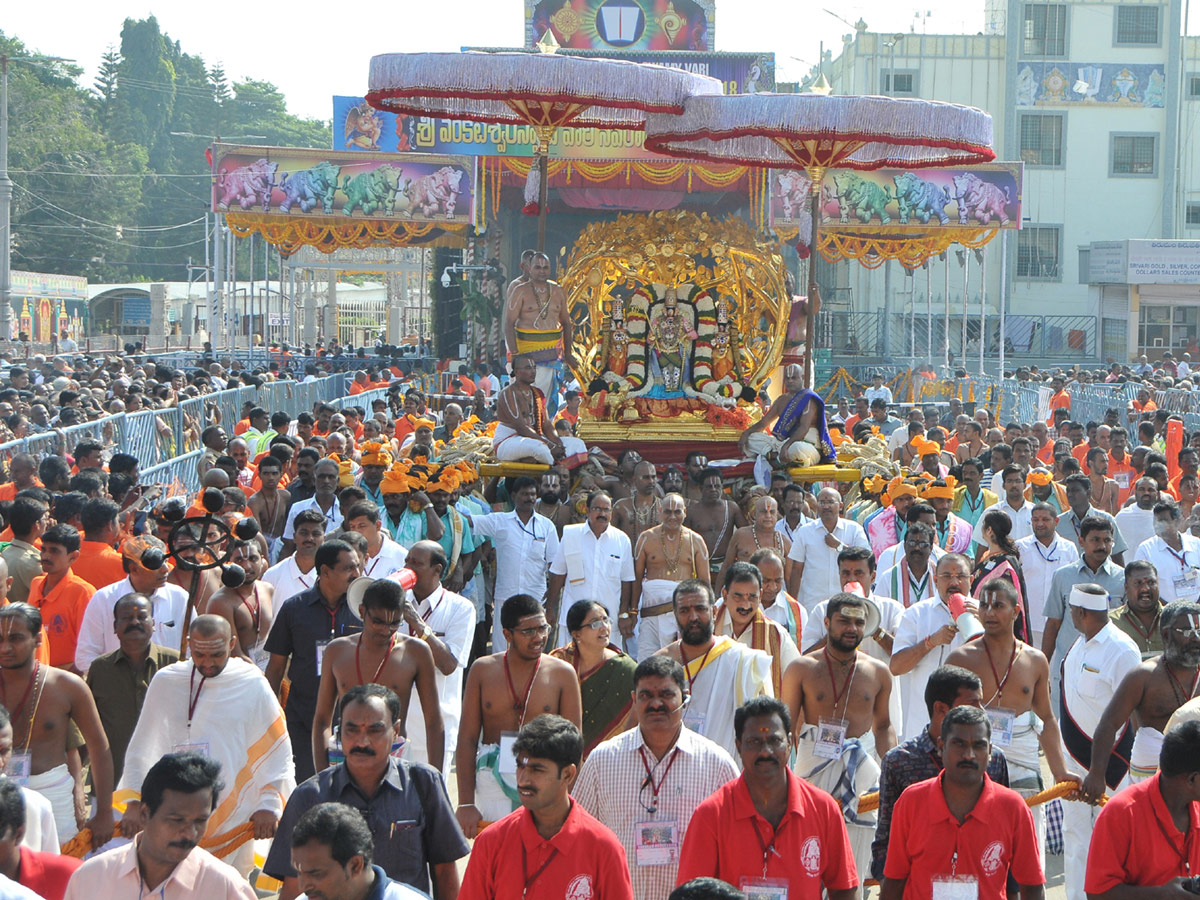 Kalpavriksha Vahanam in Tirumala Photo Gallery - Sakshi7