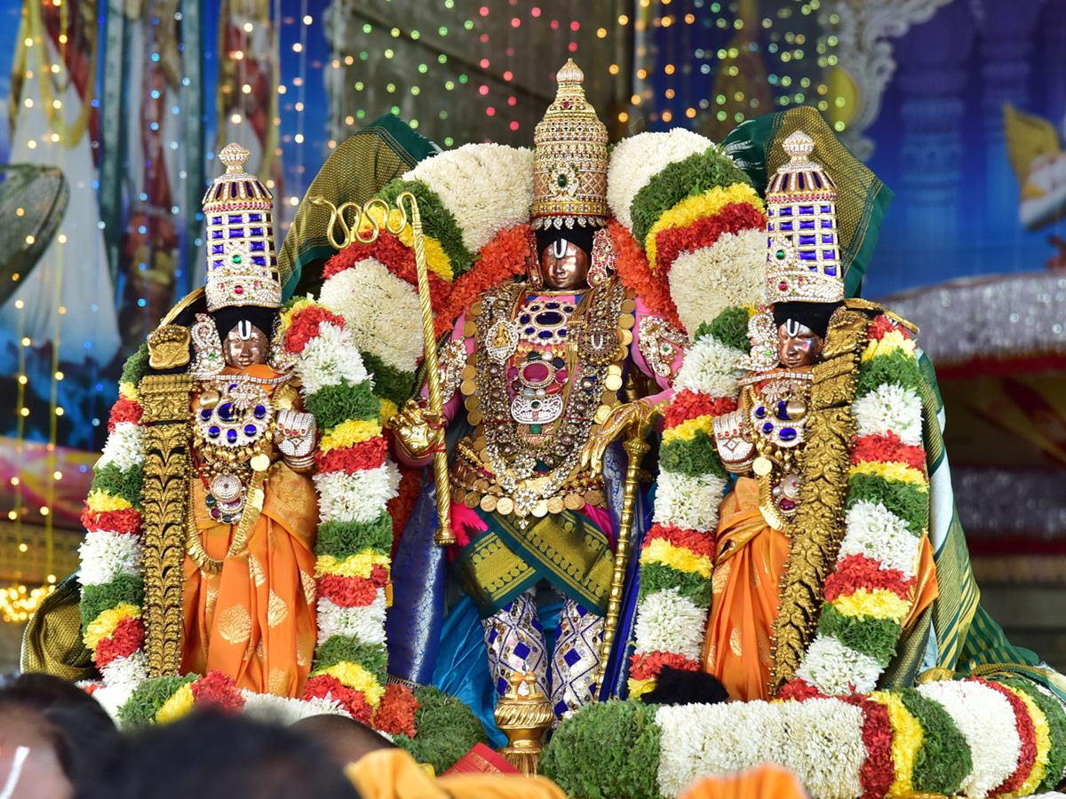 Kalpavriksha Vahanam in Tirumala Photo Gallery - Sakshi9