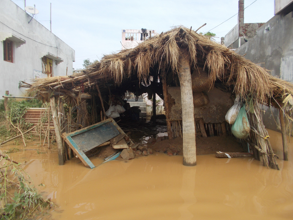 Effects Of Cyclone Titli In Srikakulam Photo Gallery - Sakshi1