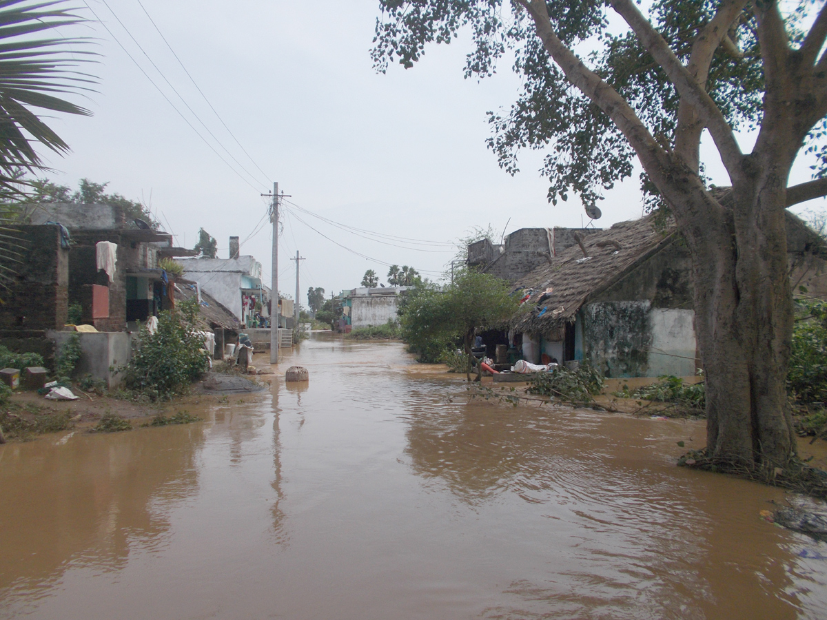 Effects Of Cyclone Titli In Srikakulam Photo Gallery - Sakshi3