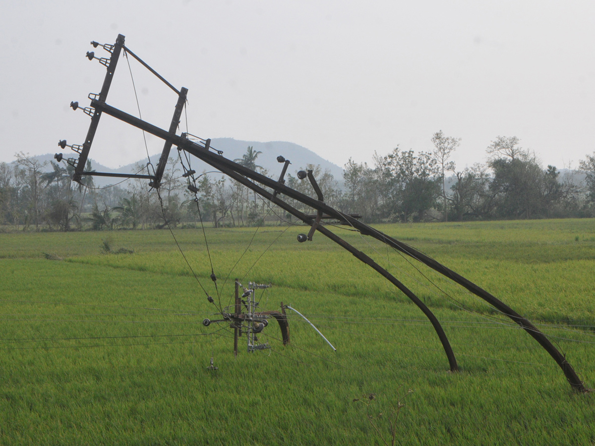 Effects Of Cyclone Titli In Srikakulam Photo Gallery - Sakshi8