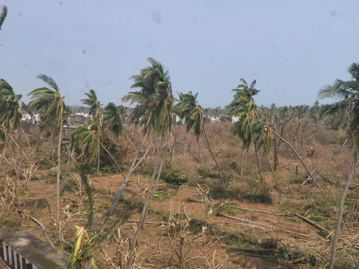 cyclone titli srikakulam district Photo Gallery - Sakshi12