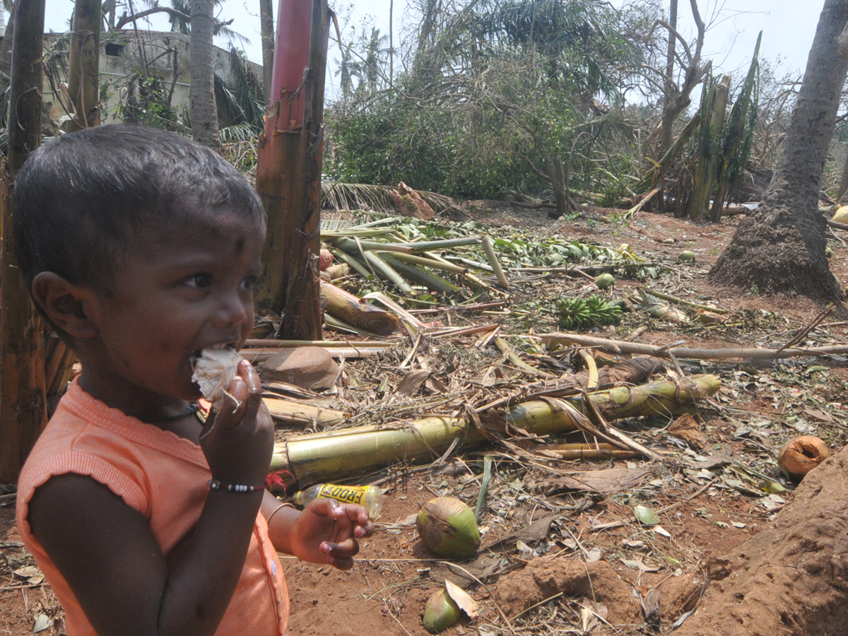 cyclone titli srikakulam district Photo Gallery - Sakshi17