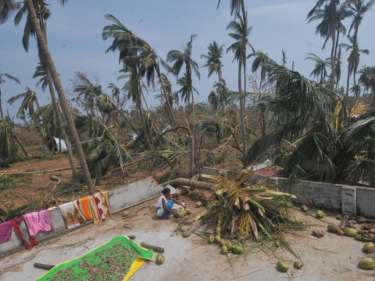 cyclone titli srikakulam district Photo Gallery - Sakshi19