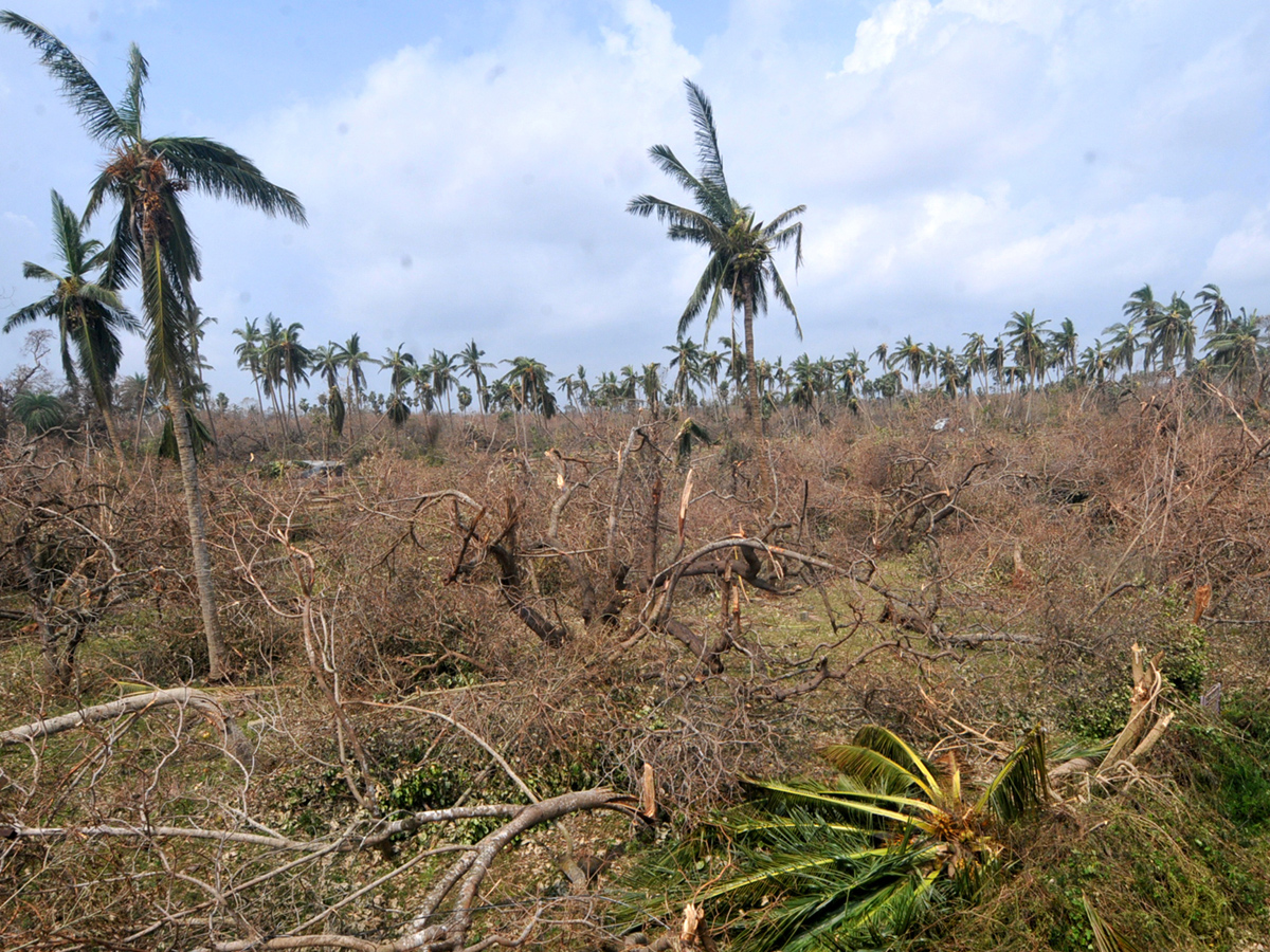 cyclone titli srikakulam district Photo Gallery - Sakshi20