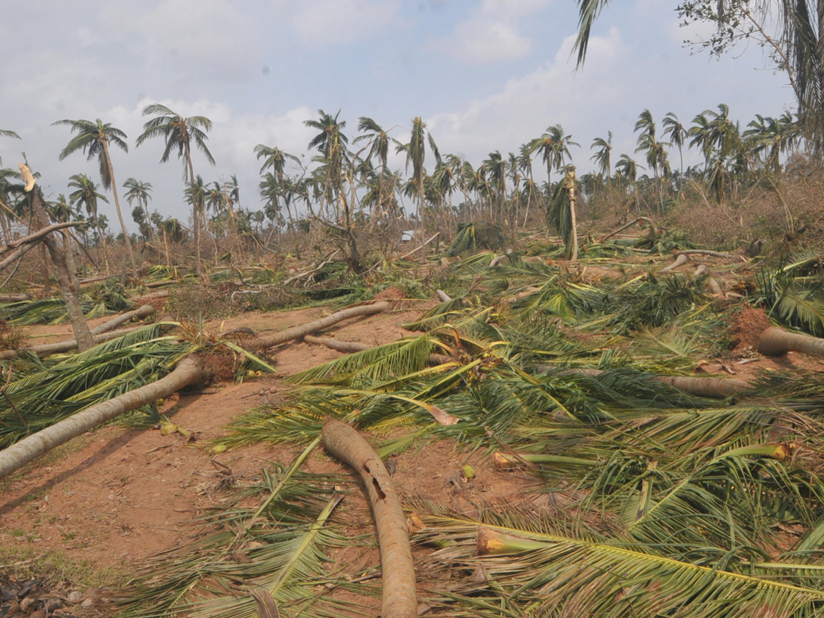 cyclone titli srikakulam district Photo Gallery - Sakshi21