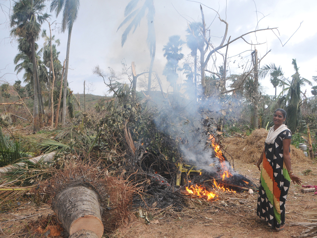 cyclone titli srikakulam district Photo Gallery - Sakshi4