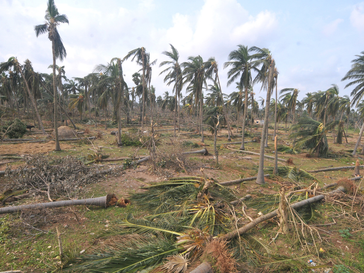 cyclone titli srikakulam district Photo Gallery - Sakshi8