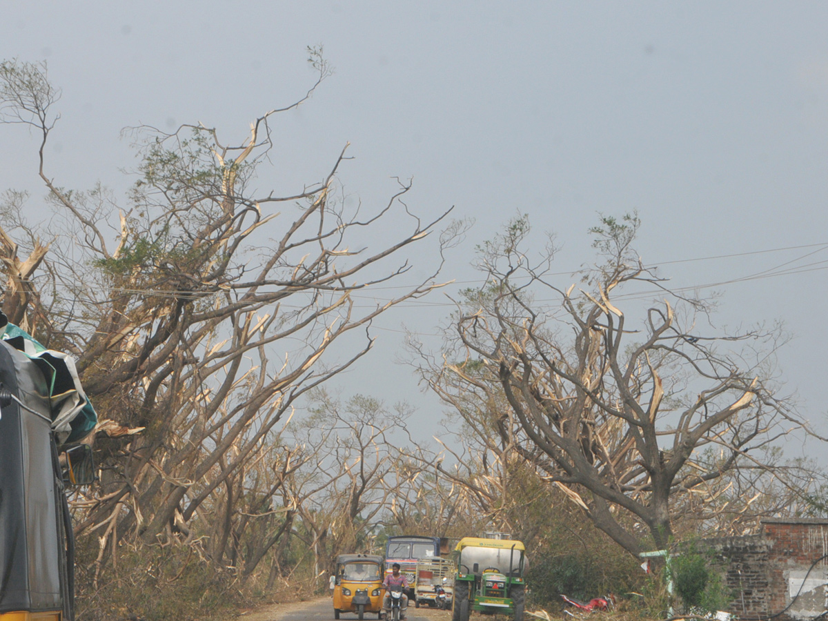 cyclone titli srikakulam district Photo Gallery - Sakshi10