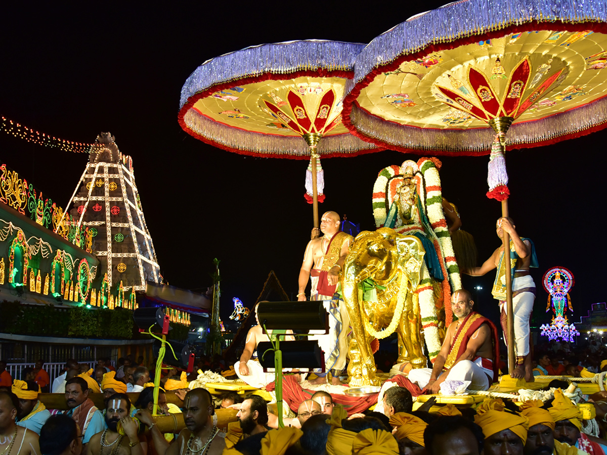 Tirumala Brahmotsavalu Pushpaka Vimana Vahana Seva Photo Gallery - Sakshi12