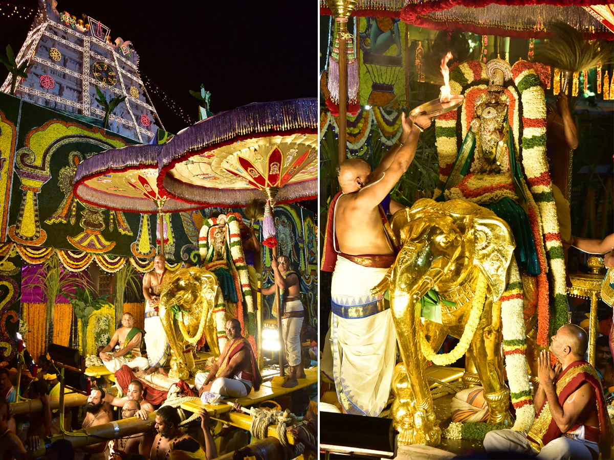 Tirumala Brahmotsavalu Pushpaka Vimana Vahana Seva Photo Gallery - Sakshi15