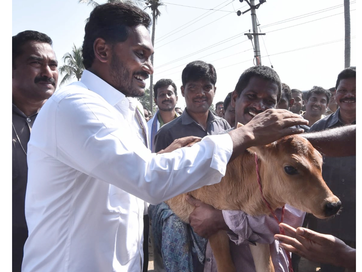 YS Jagan PrajaSankalpaYatra Day 289 Photo Gallery - Sakshi17