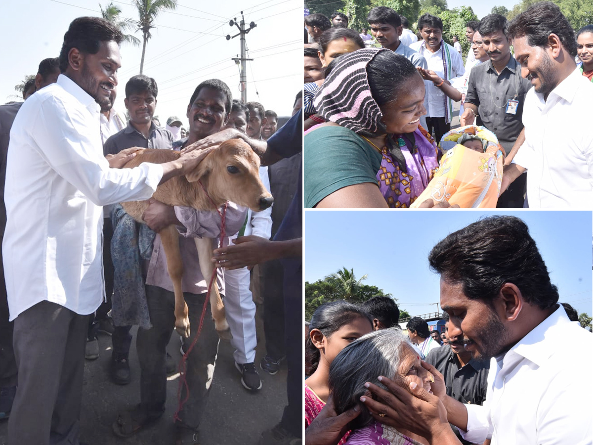 YS Jagan PrajaSankalpaYatra Day 289 Photo Gallery - Sakshi3