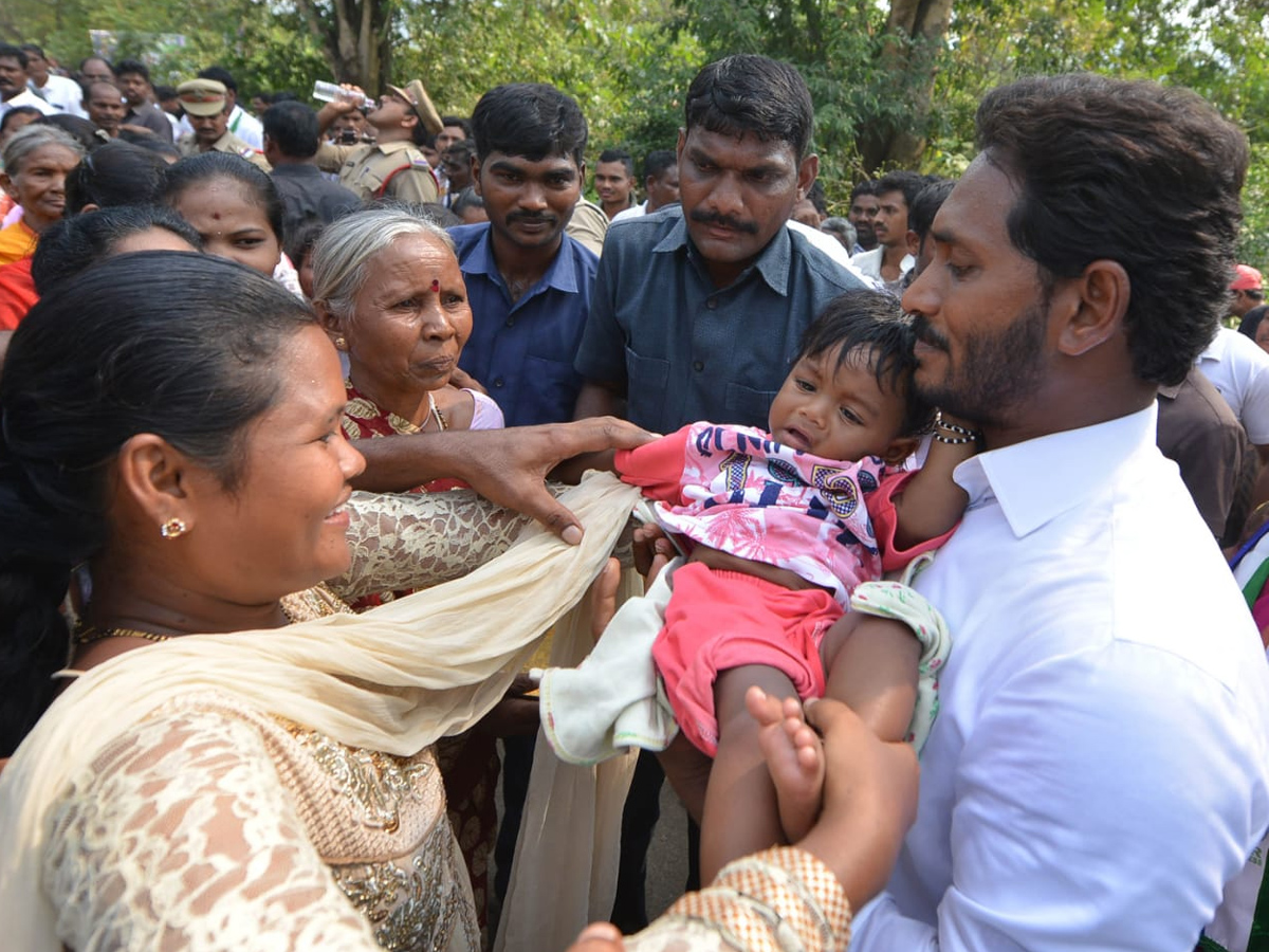 YS Jagan PrajaSankalpaYatra Day 293th Photo Gallery - Sakshi24