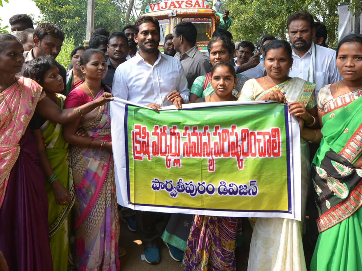 YS Jagan PrajaSankalpaYatra Day 293th Photo Gallery - Sakshi30