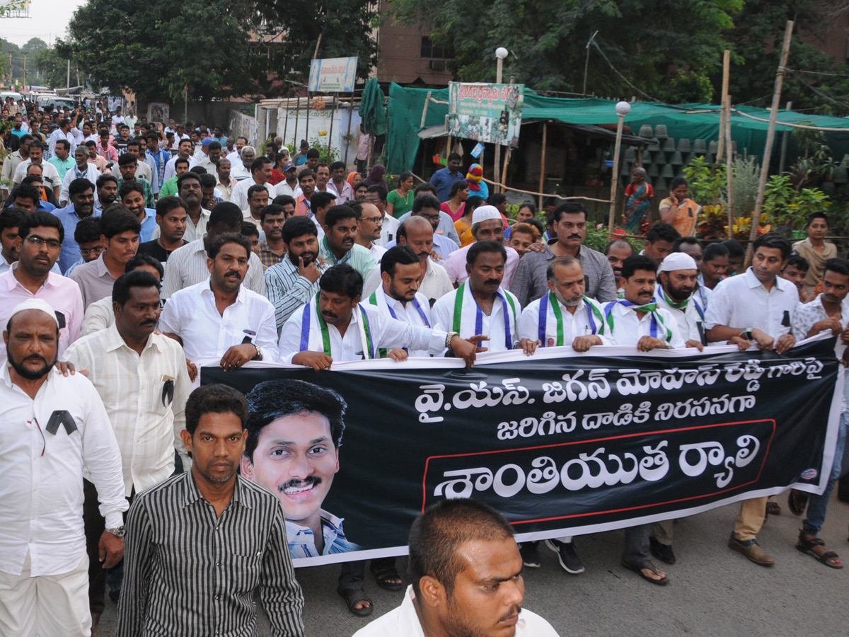 Ysrcp Supporters Protests in Telugu States Photo Gallery - Sakshi1