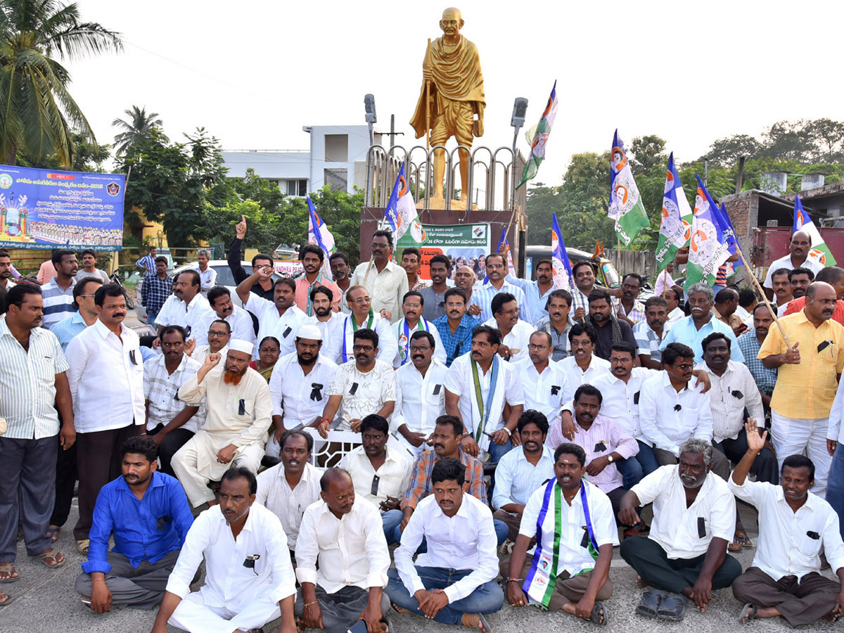 Ysrcp Supporters Protests in Telugu States Photo Gallery - Sakshi17