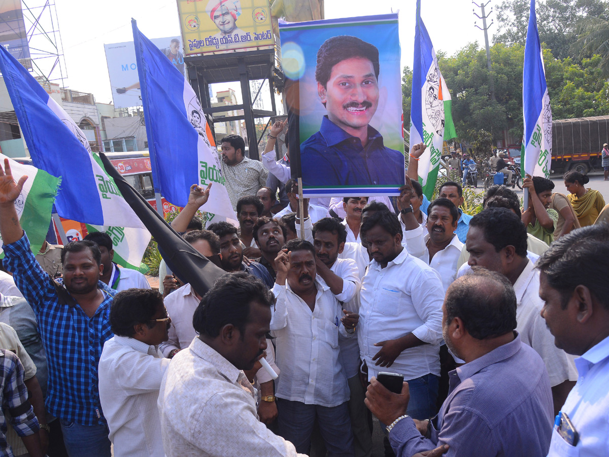 Ysrcp Supporters Protests in Telugu States Photo Gallery - Sakshi3