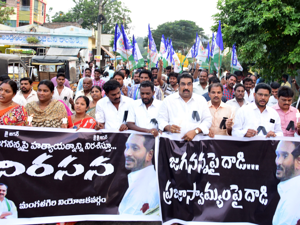 Ysrcp Supporters Protests in Telugu States Photo Gallery - Sakshi5