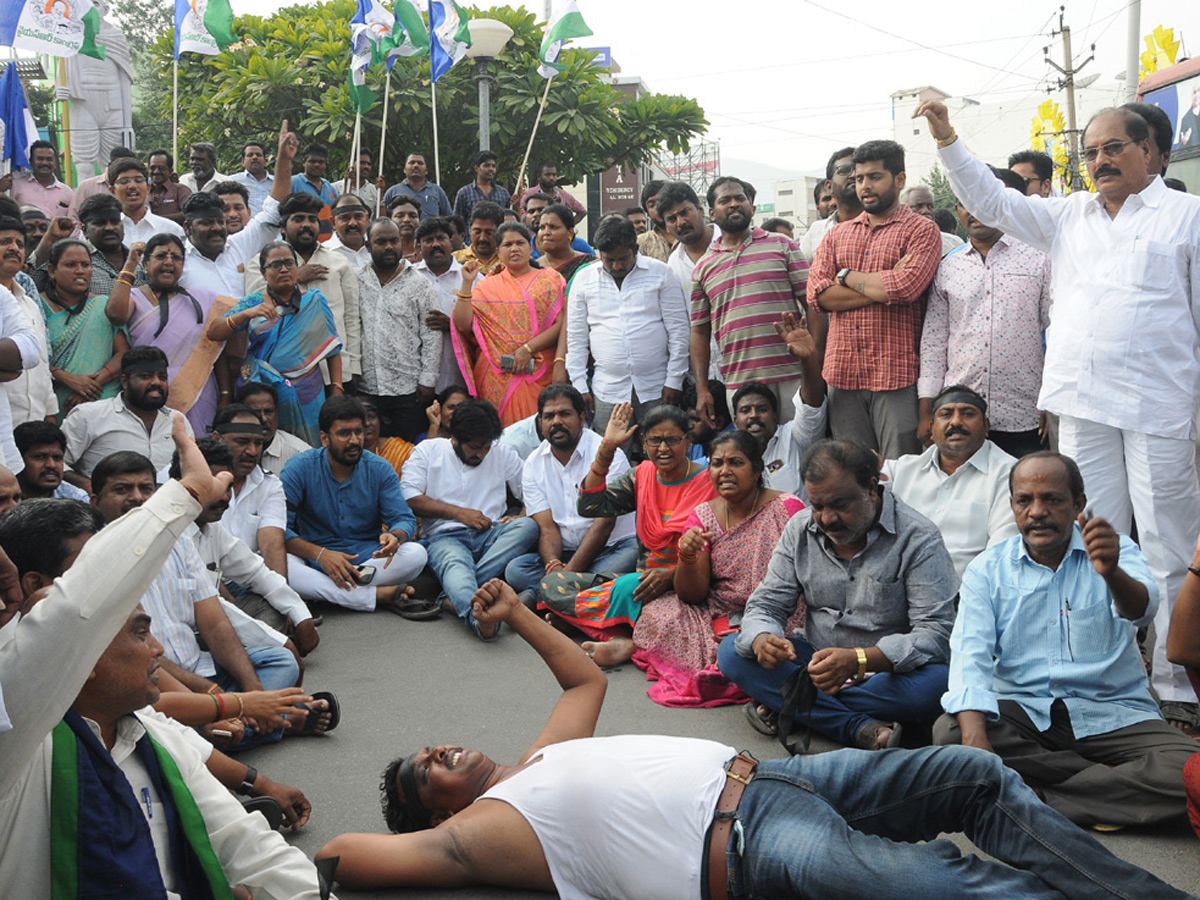 Ysrcp Supporters Protests in Telugu States Photo Gallery - Sakshi8