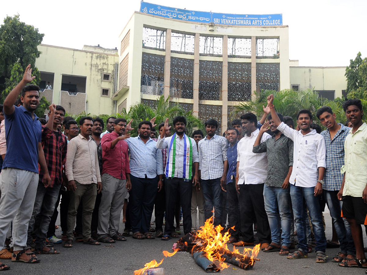 Ysrcp Supporters Protests in Telugu States Photo Gallery - Sakshi9