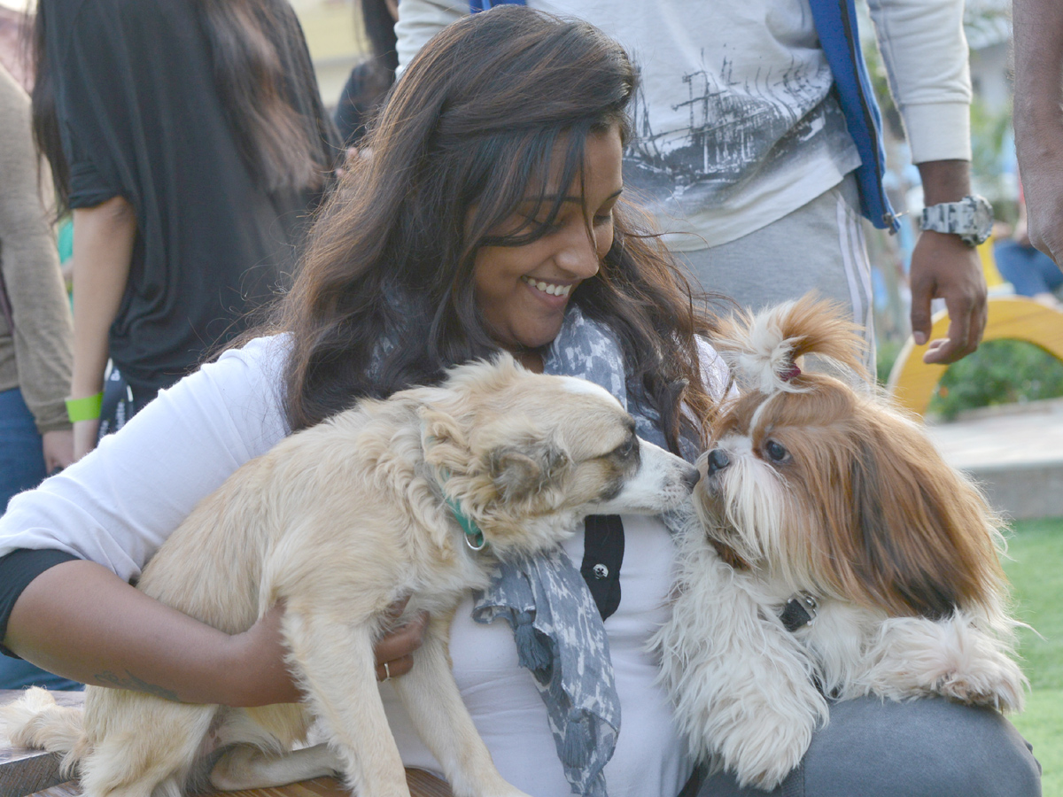 dogs park at kondapur Photo Gallery - Sakshi1