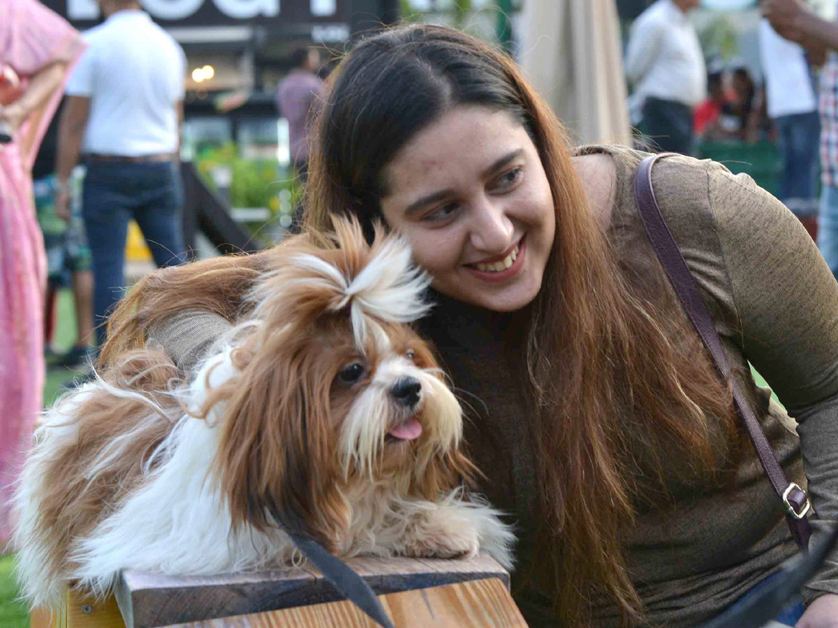 dogs park at kondapur Photo Gallery - Sakshi14