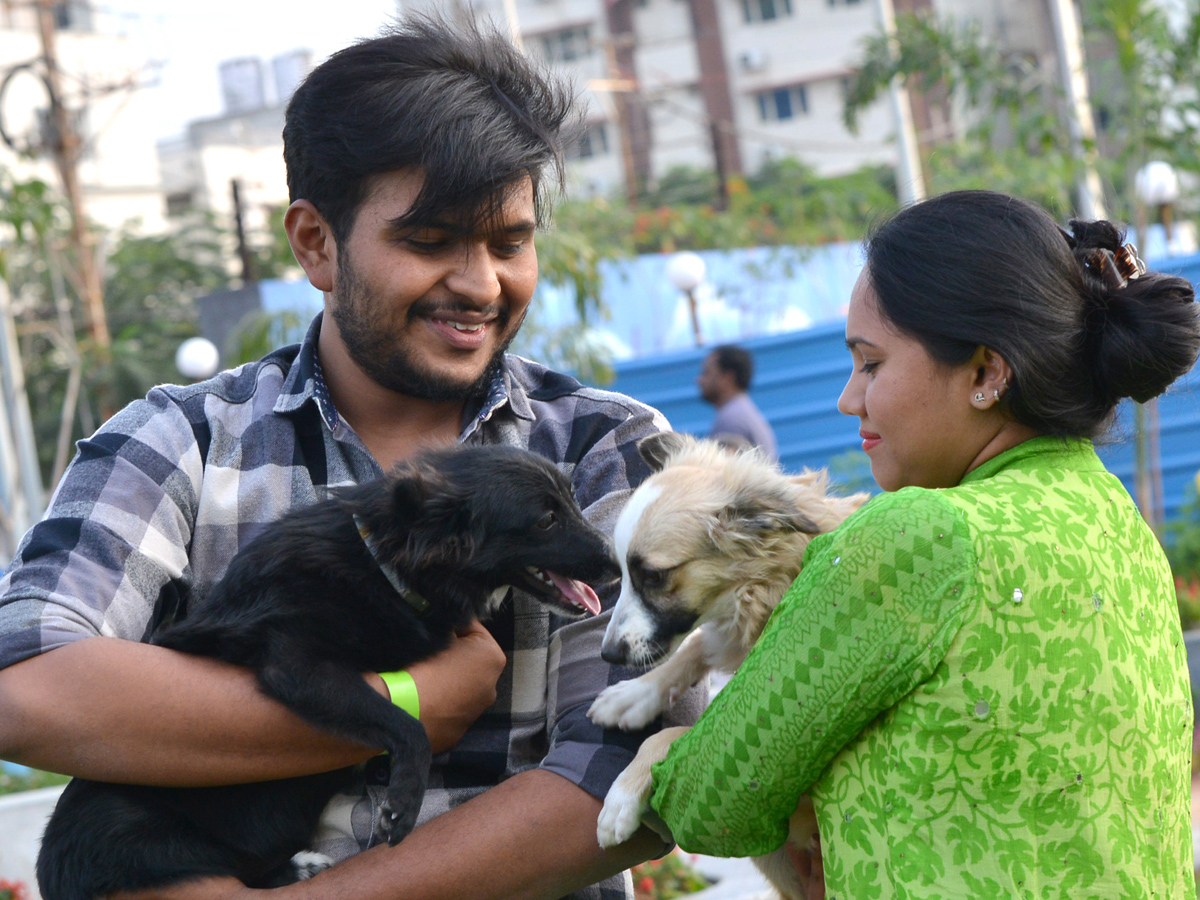 dogs park at kondapur Photo Gallery - Sakshi16