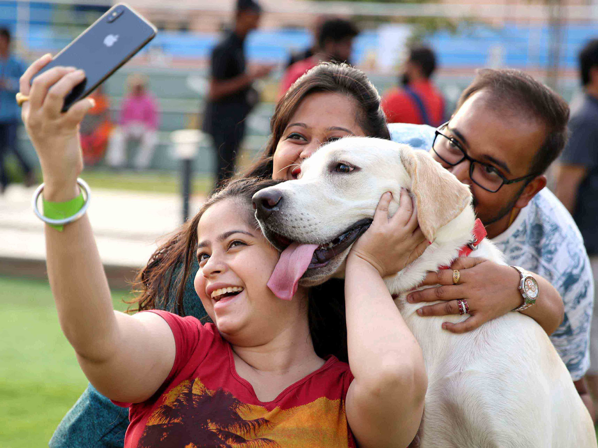 dogs park at kondapur Photo Gallery - Sakshi18