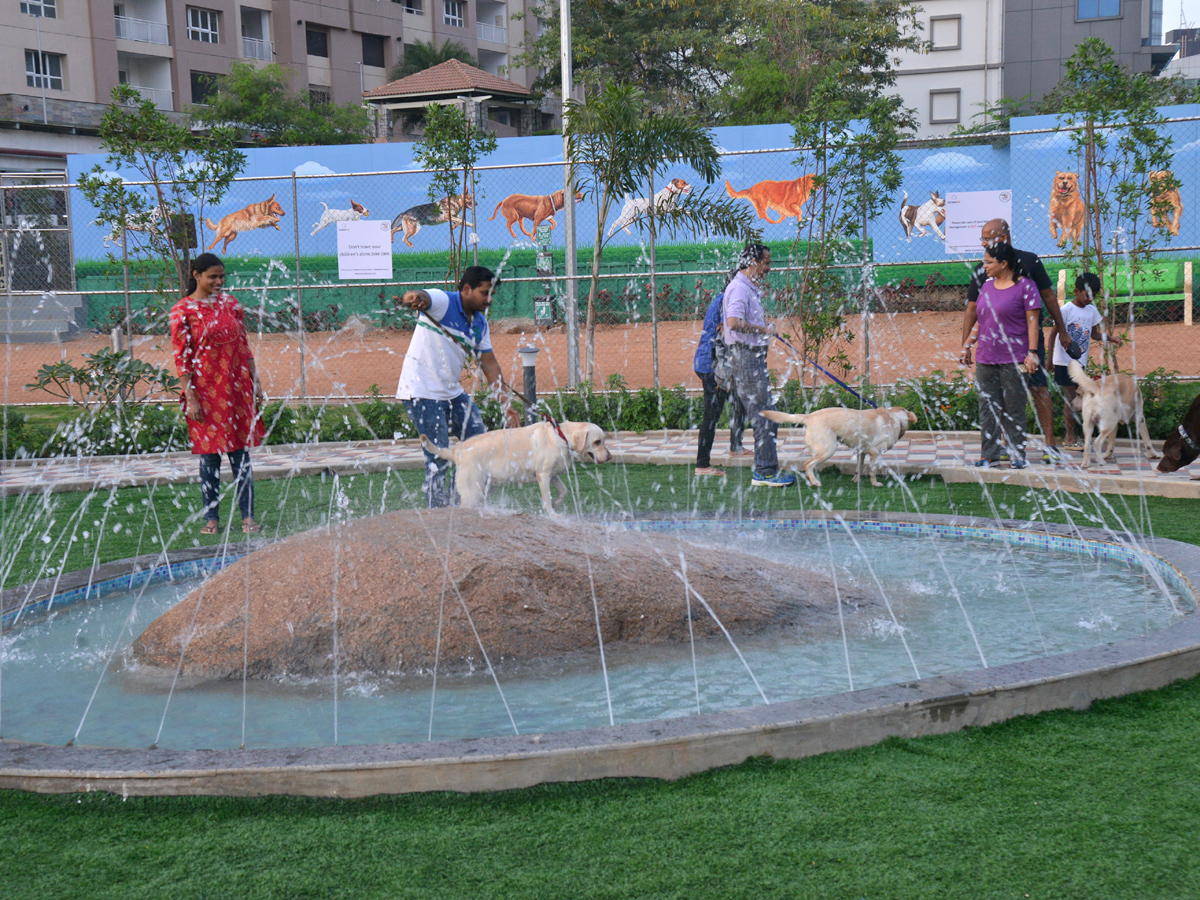 dogs park at kondapur Photo Gallery - Sakshi4