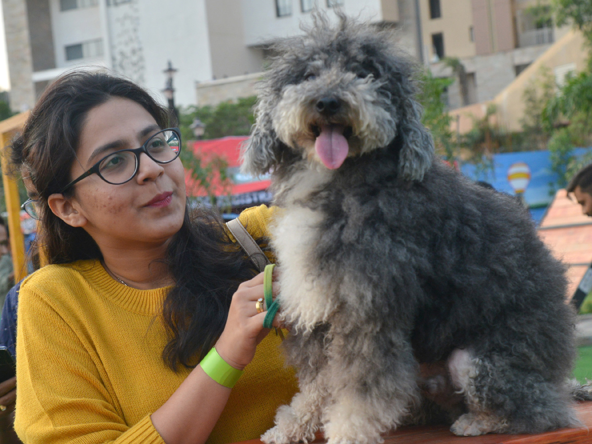 dogs park at kondapur Photo Gallery - Sakshi6