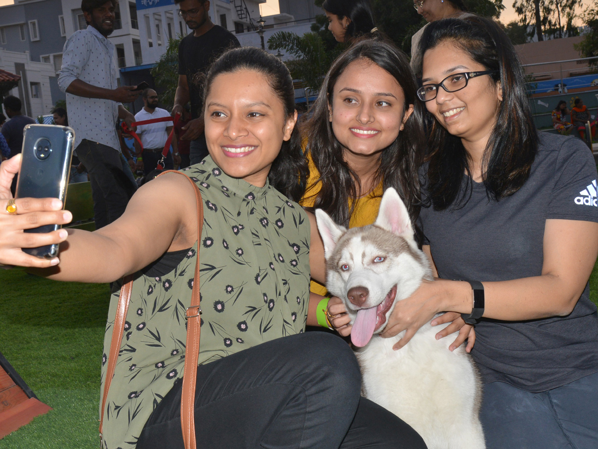 dogs park at kondapur Photo Gallery - Sakshi8