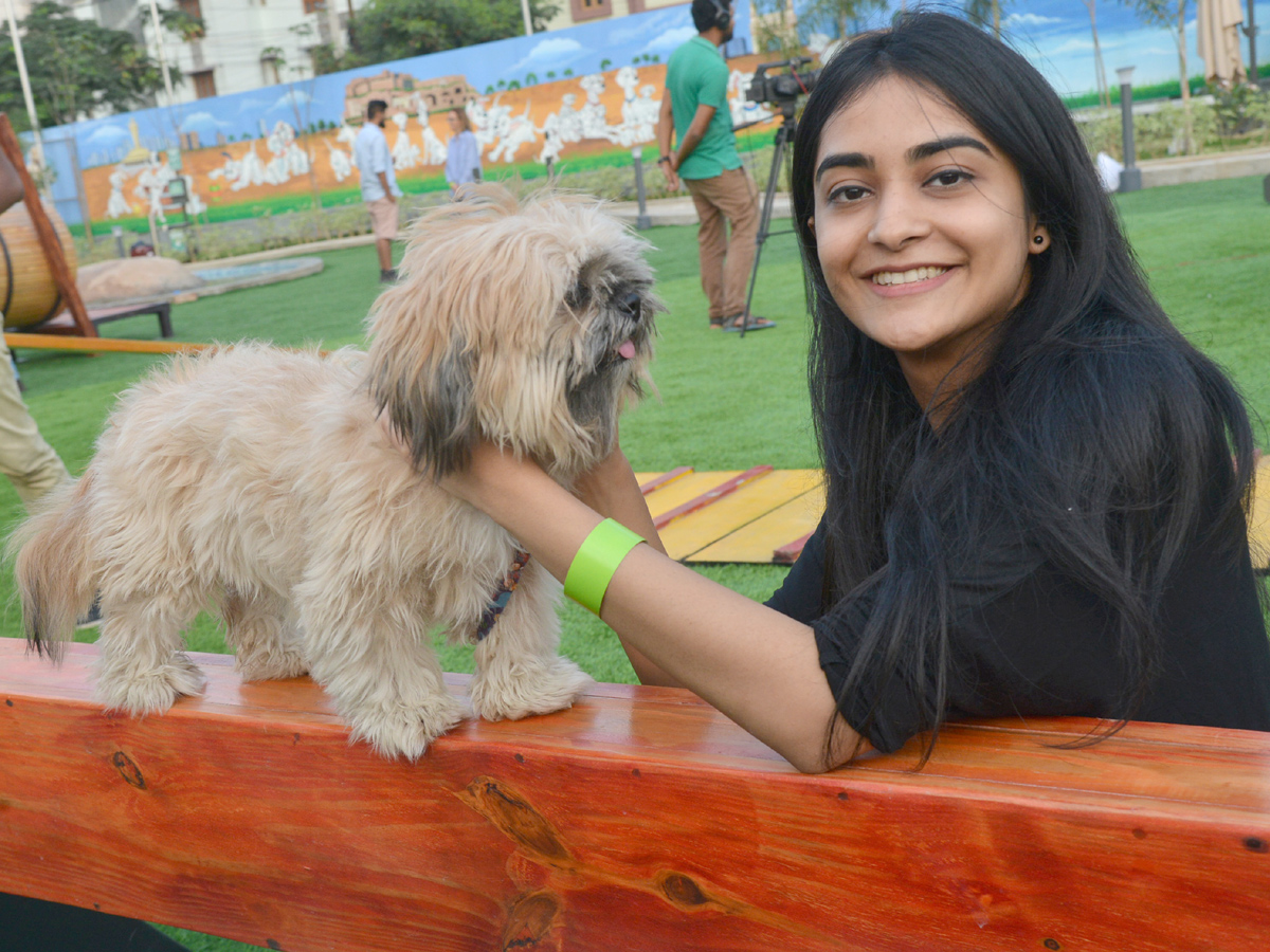 dogs park at kondapur Photo Gallery - Sakshi10