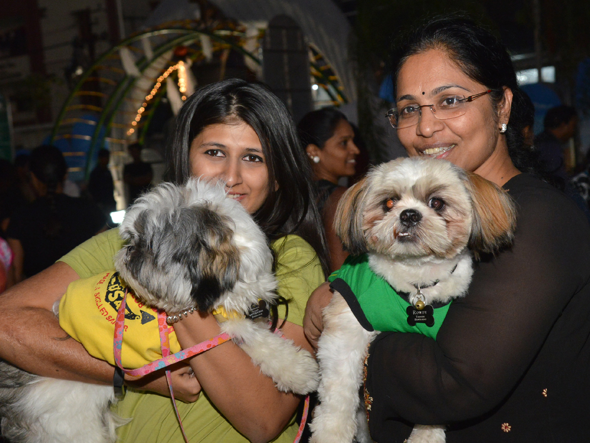 Halloween for Dogs at Dog Park Photo Gallery - Sakshi1