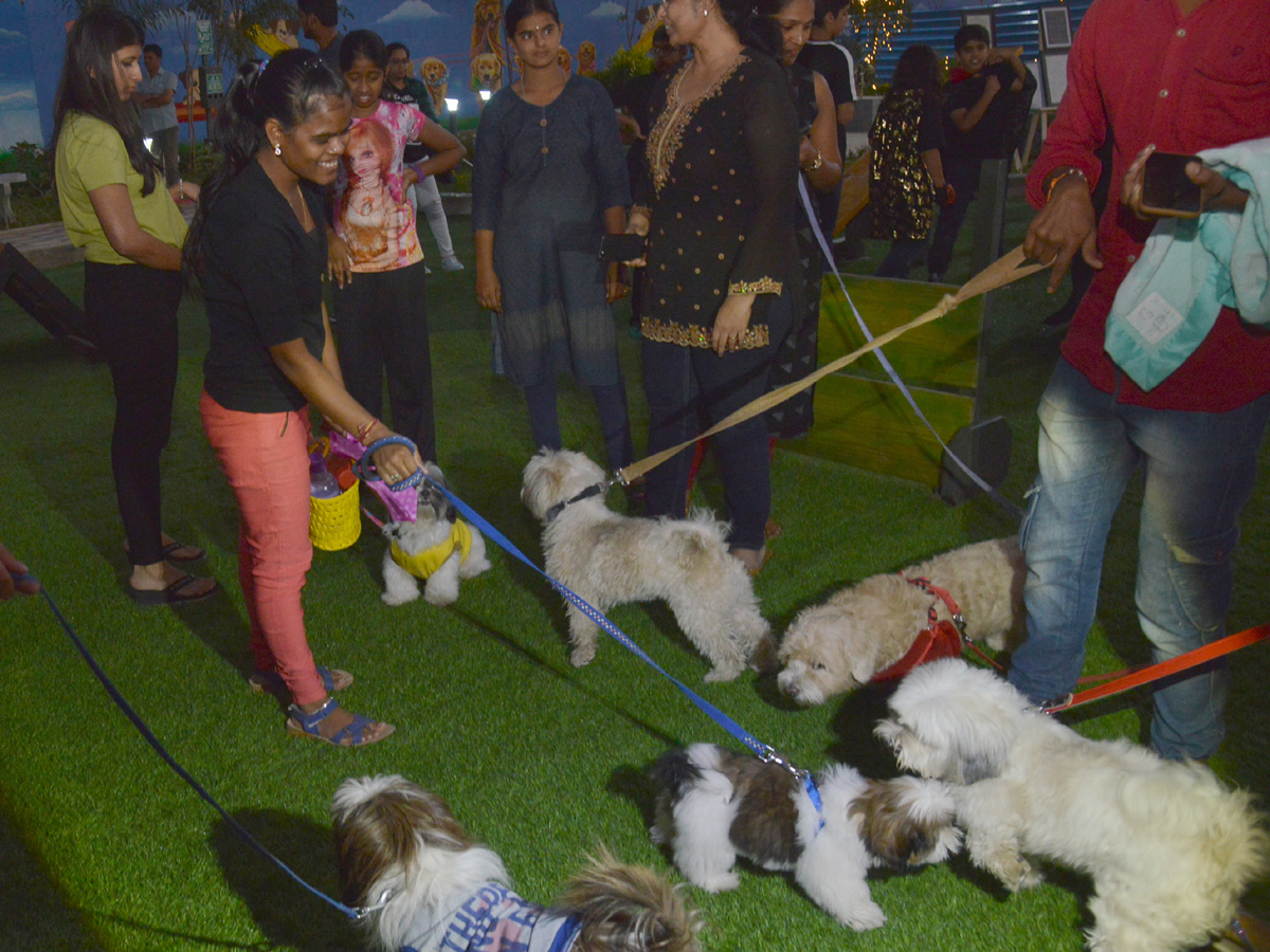 Halloween for Dogs at Dog Park Photo Gallery - Sakshi11