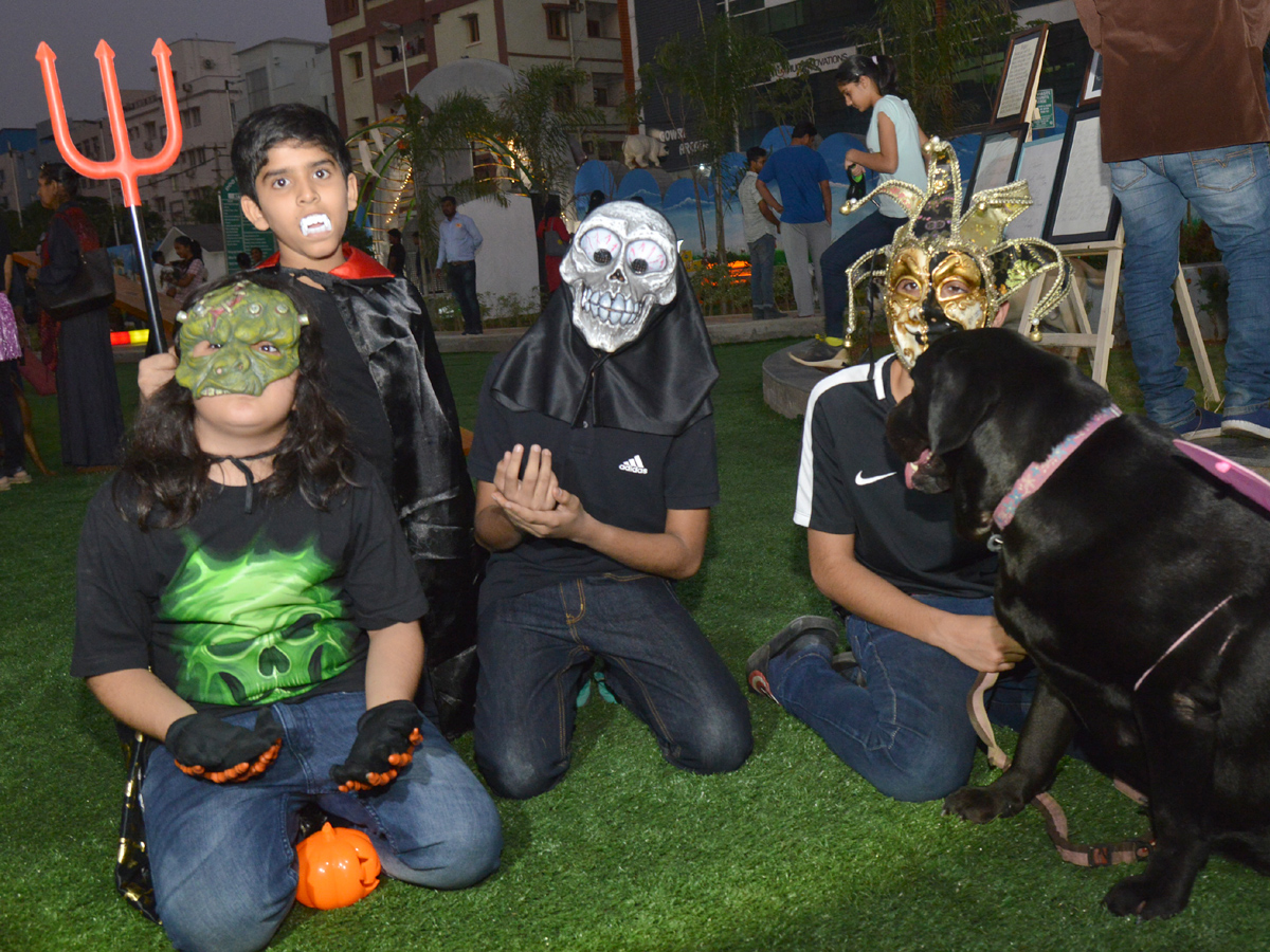 Halloween for Dogs at Dog Park Photo Gallery - Sakshi12