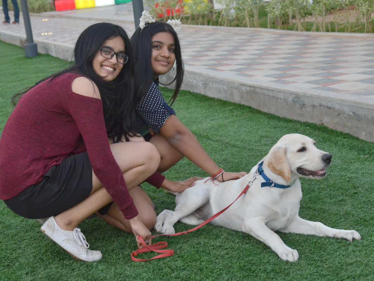 Halloween for Dogs at Dog Park Photo Gallery - Sakshi13