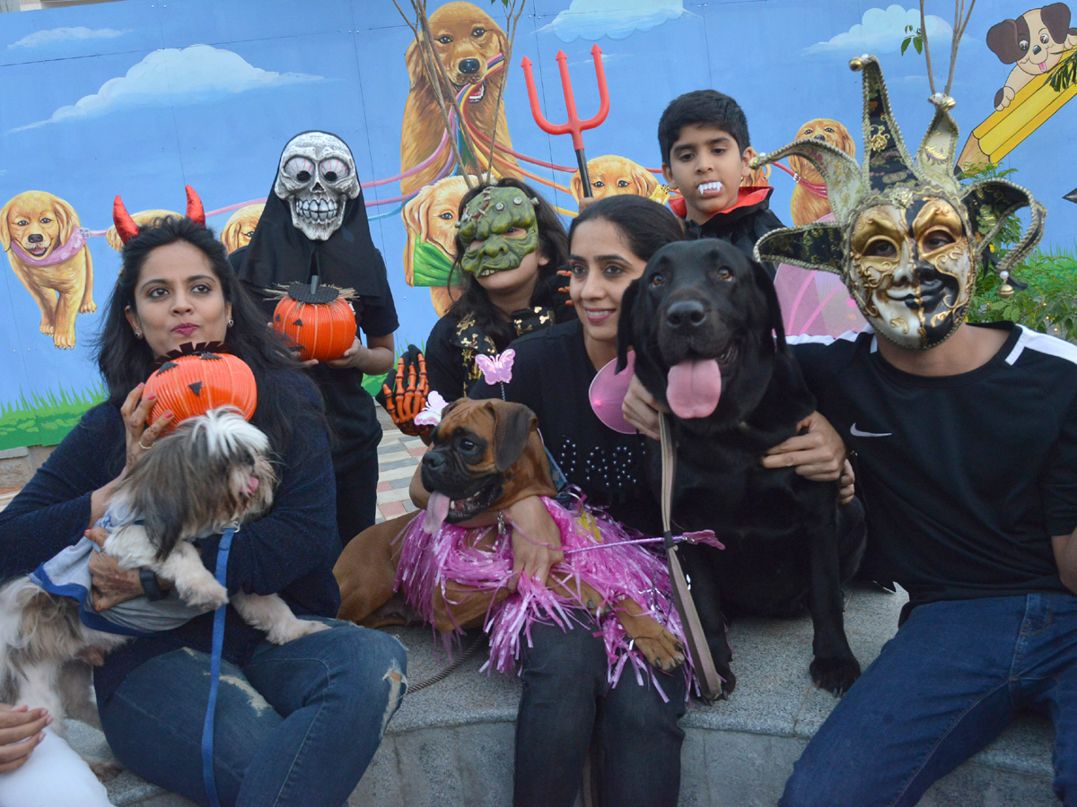 Halloween for Dogs at Dog Park Photo Gallery - Sakshi14