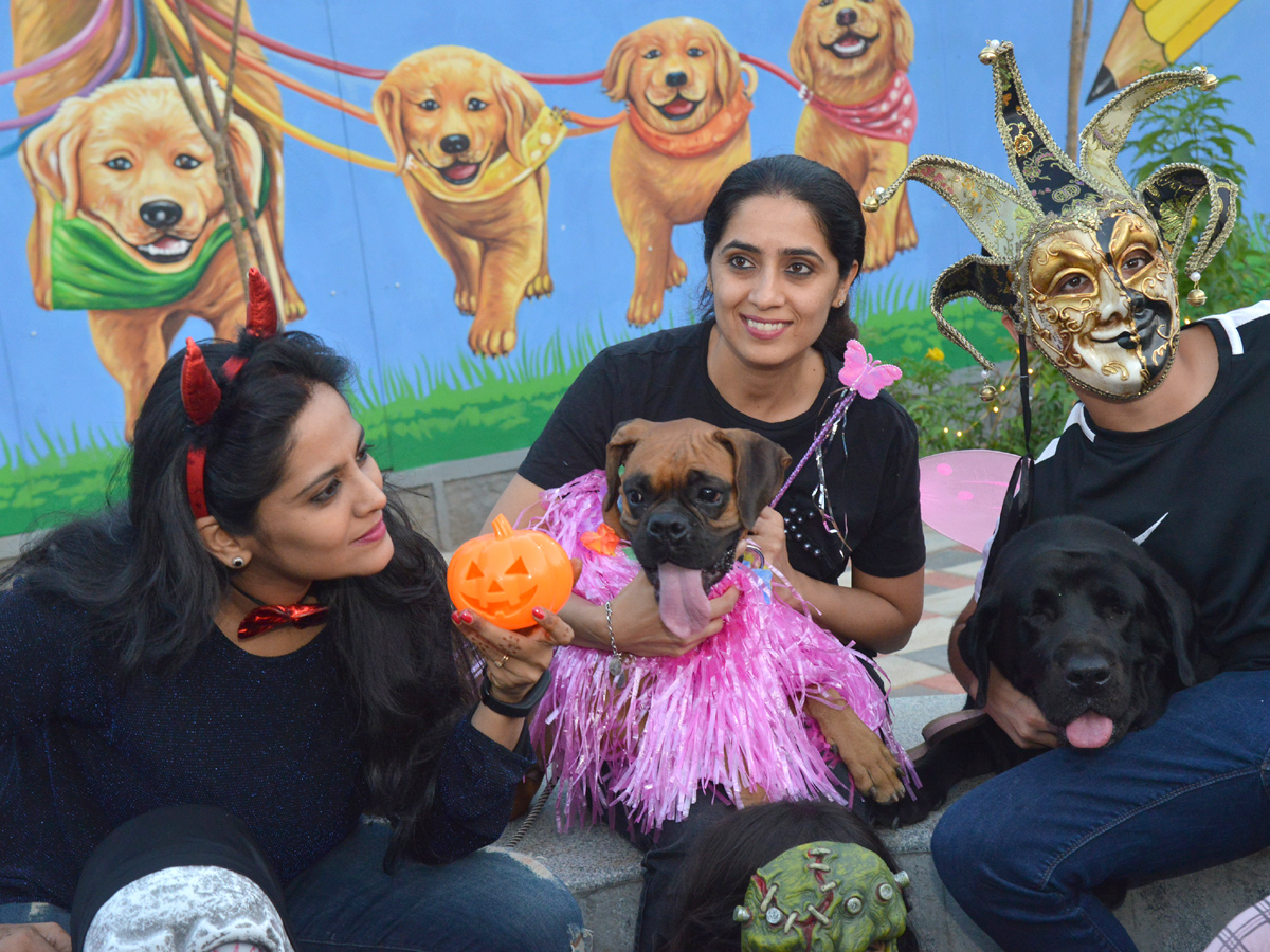 Halloween for Dogs at Dog Park Photo Gallery - Sakshi15