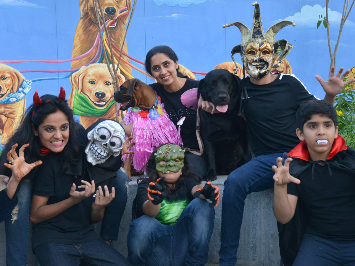 Halloween for Dogs at Dog Park Photo Gallery - Sakshi16