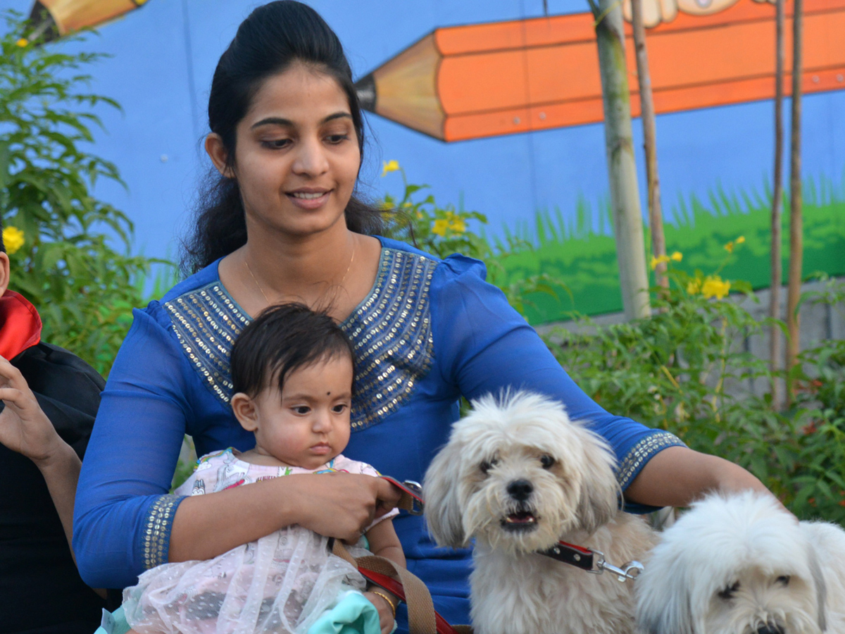 Halloween for Dogs at Dog Park Photo Gallery - Sakshi17