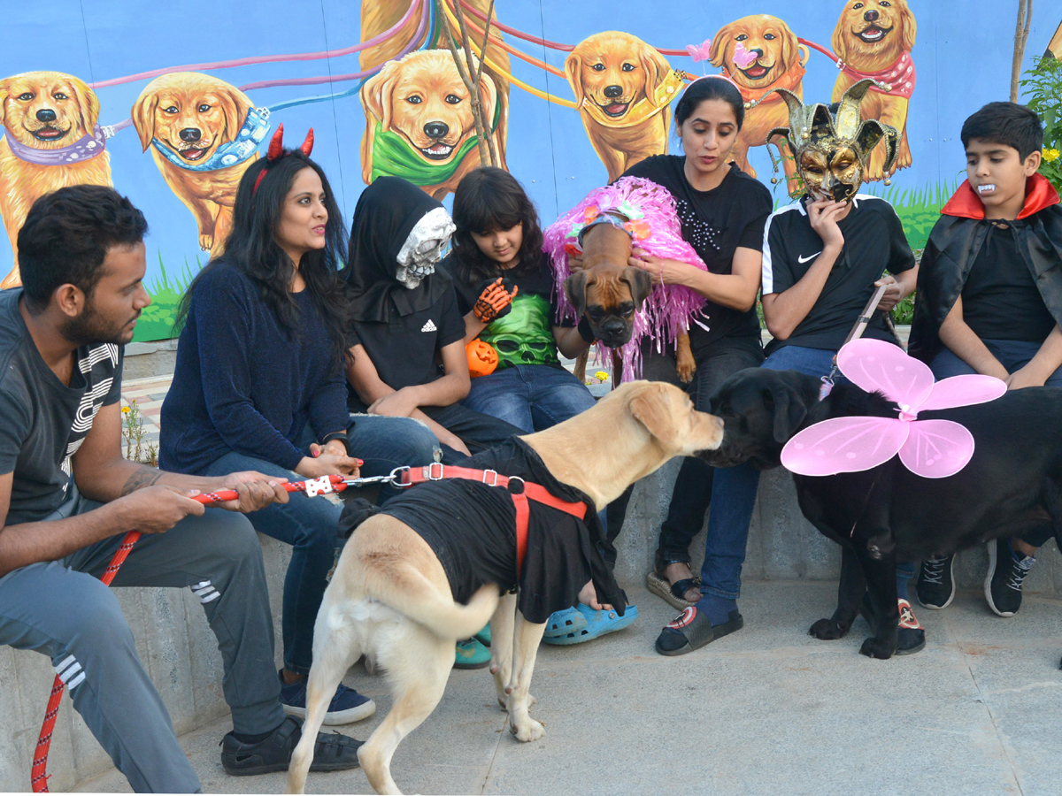 Halloween for Dogs at Dog Park Photo Gallery - Sakshi18