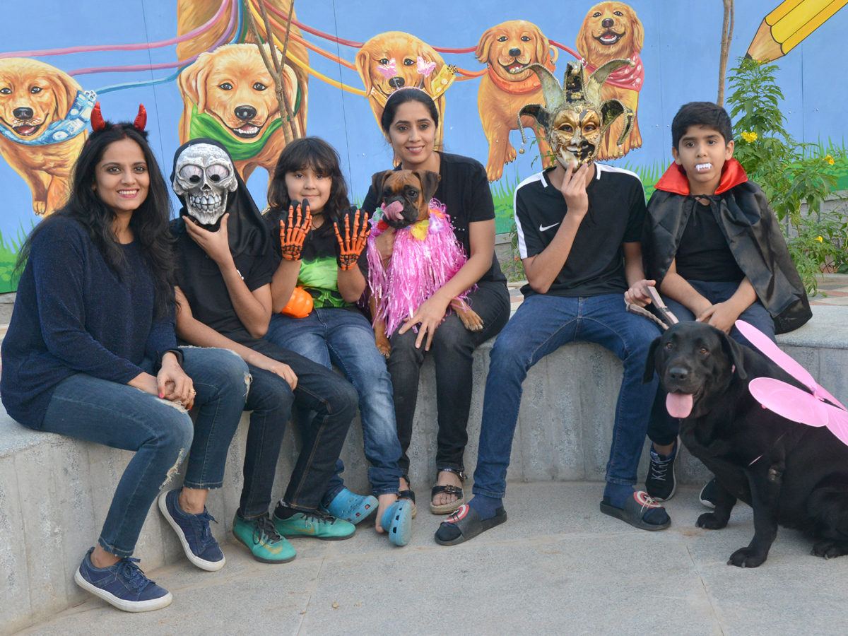 Halloween for Dogs at Dog Park Photo Gallery - Sakshi19